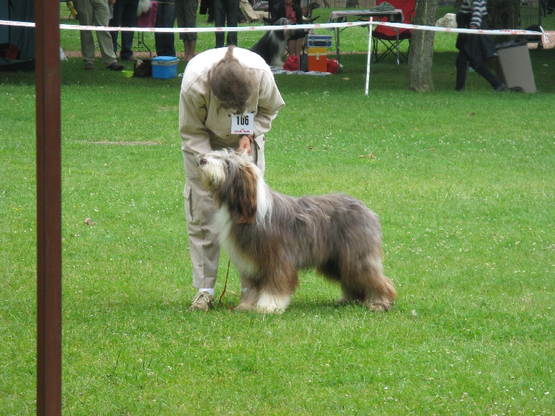 Be a dream of beard (jylou) de L'Ouvernhat