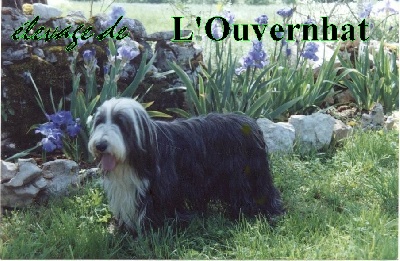 de L'Ouvernhat